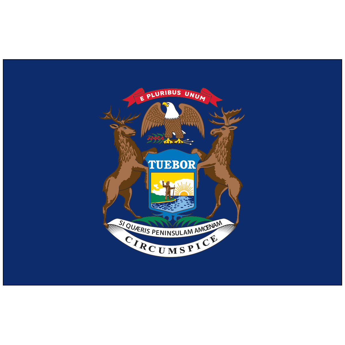 MICHIGAN FLAG Elmers Flag and Banner