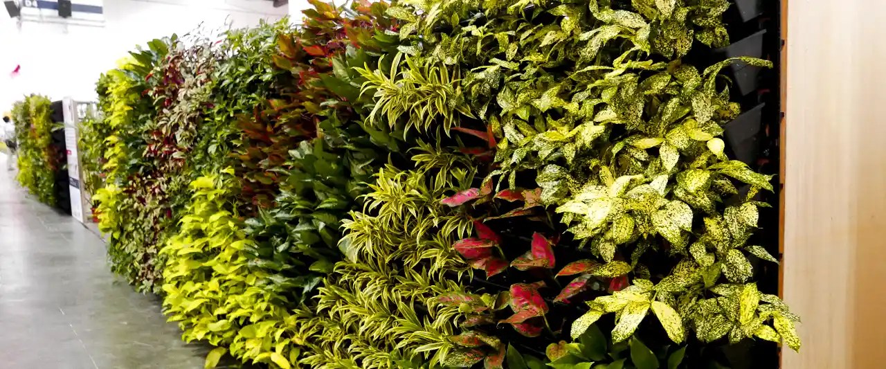 Greener Lifestyle with Elmich Green Wall System Elmich Pte Ltd