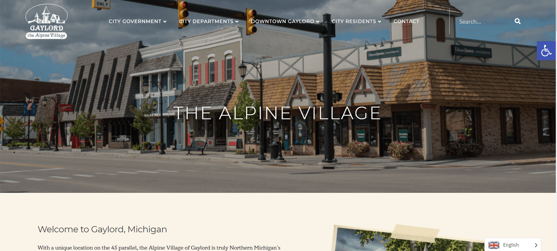 Home Elmira Township MI