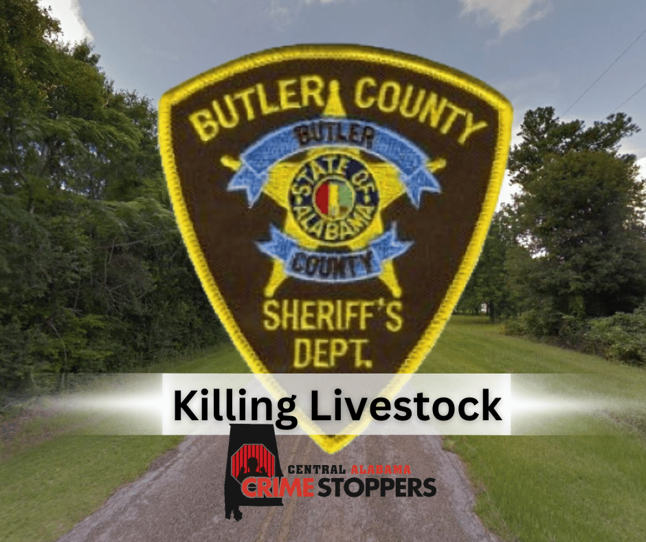 Pet Goats Shot, Killed in Butler County; CrimeStoppers Offers Reward