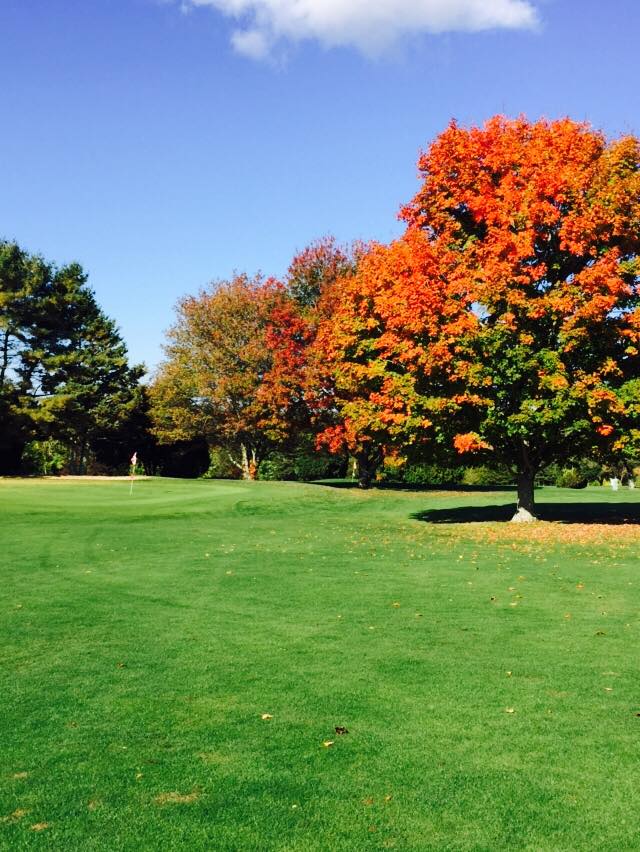 About Elmridge Golf Course