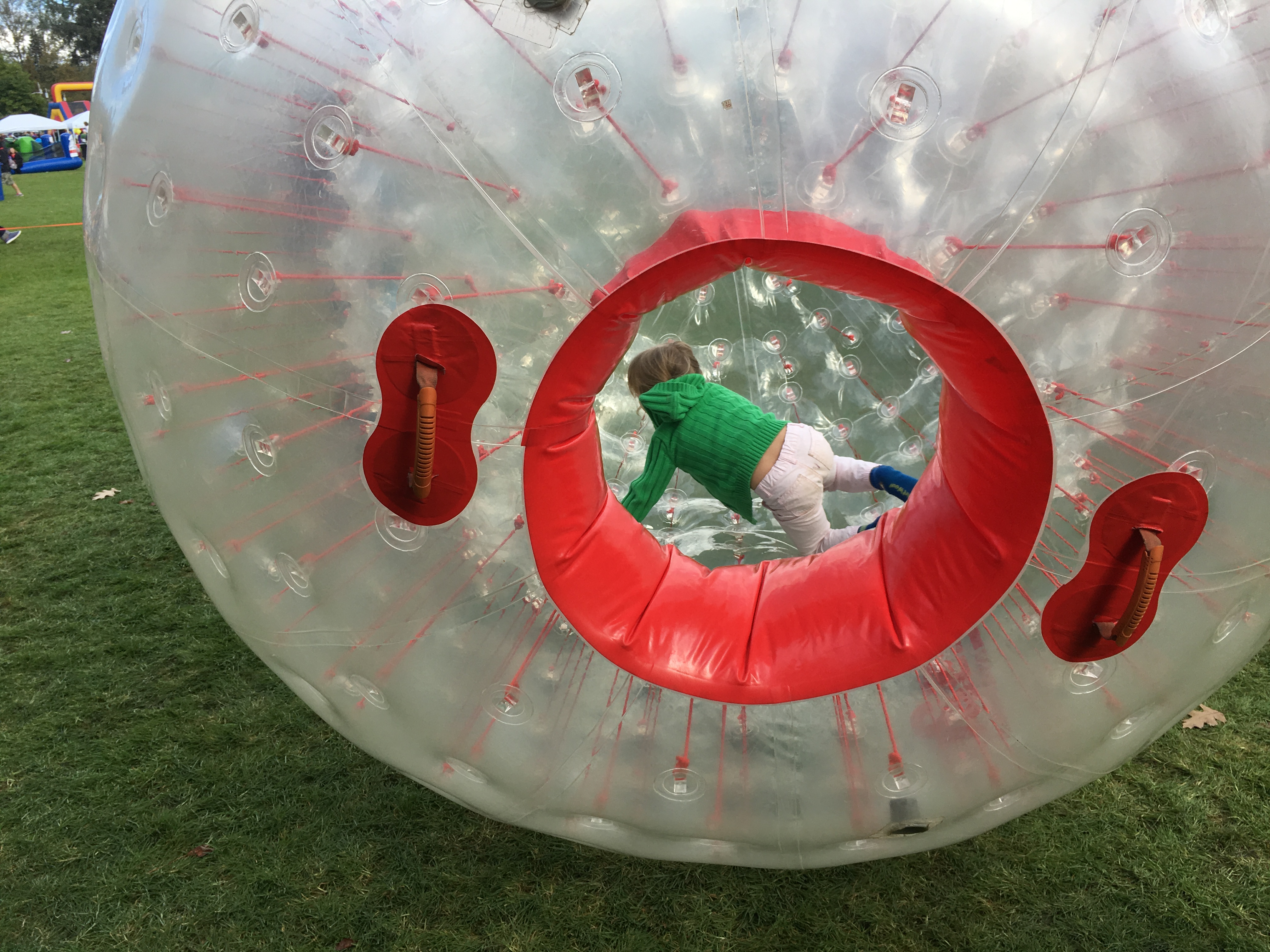 Human Hamster Ball Eloise Please 100 Pure Baby Pictures of Eloise