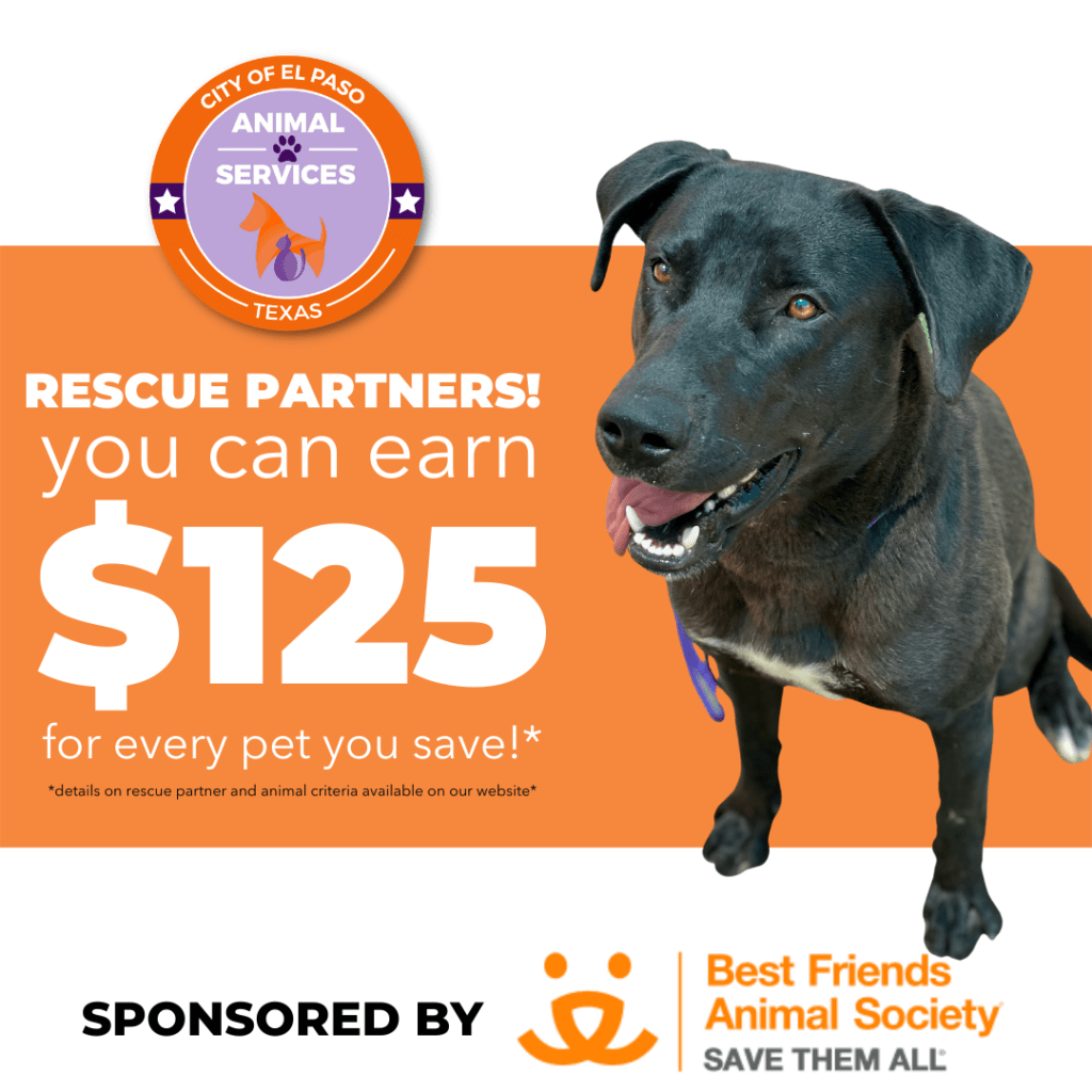 Press Release Animal Services Offers Rescue Partners Incentive for