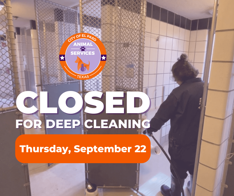 Press Release Animal Services Center to Close for Routine Deep