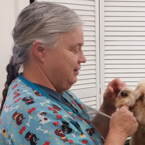 Appointments Julian's Pet Grooming