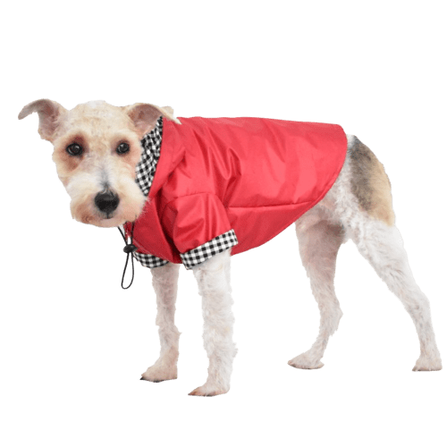 El Pet Shop Tienda online para mascotas, Veterinaria, Spa. ⭐Delivery