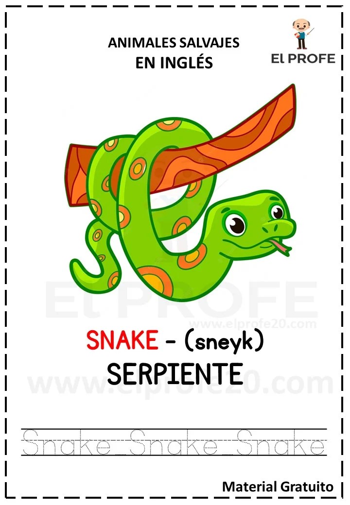 Fichas de los animales en inglés y español con pronunciación El Profe 20