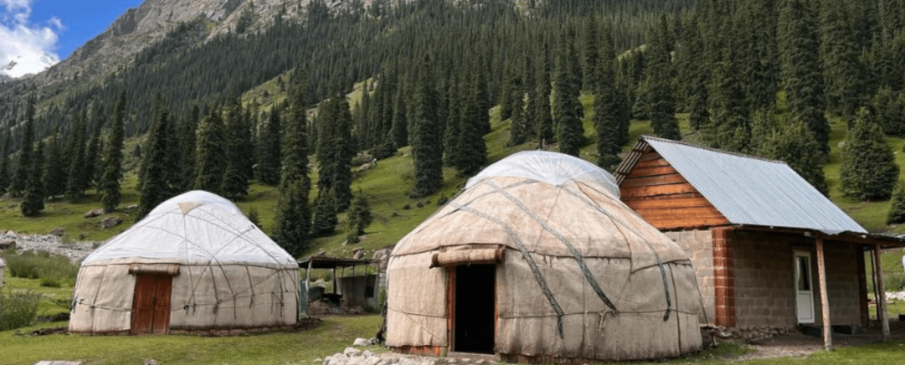 Featured Fellow Jill RamseyTyson joins a Caravan of Trainings across