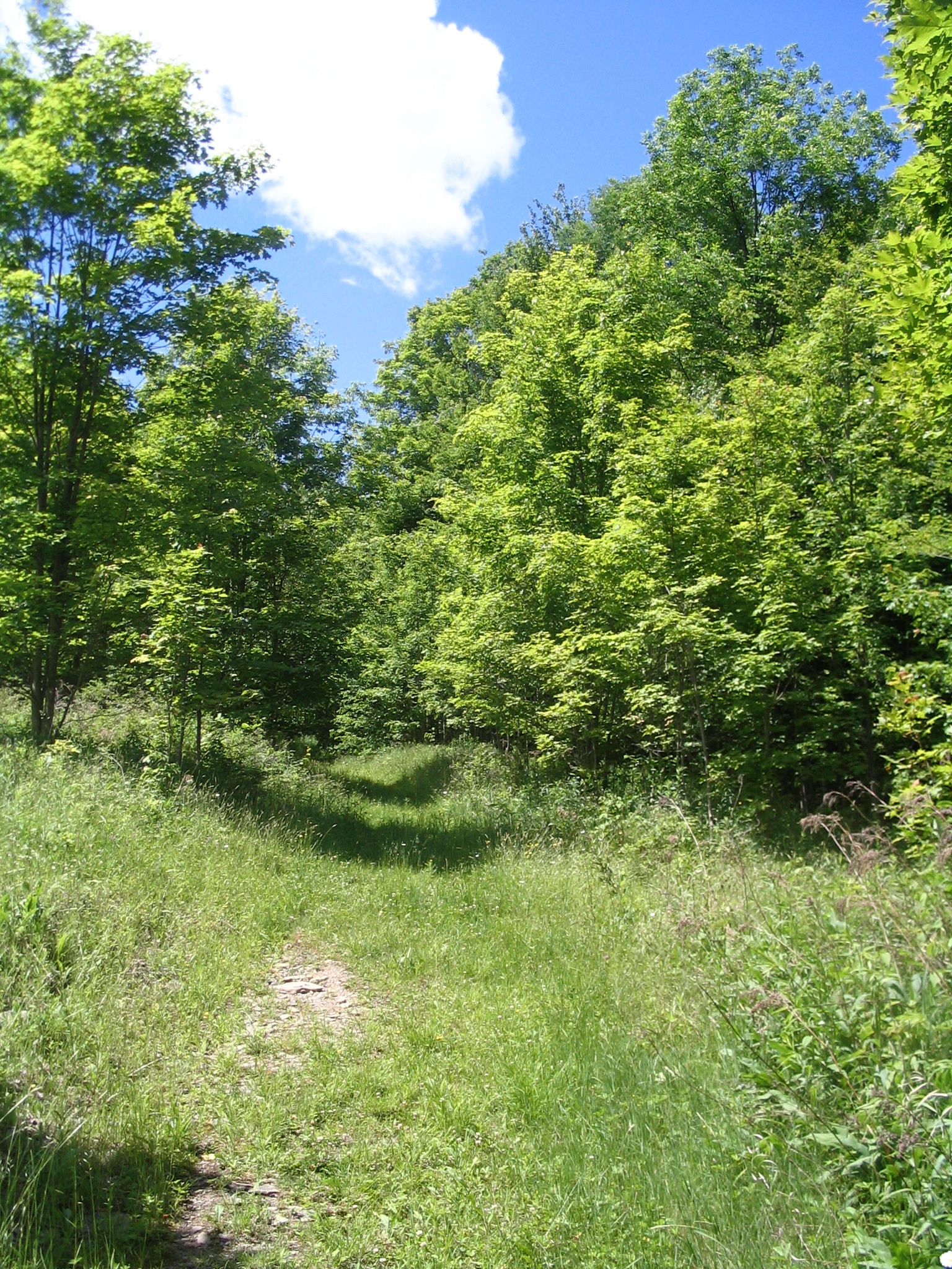 Our Preserves Edward L Rose Land Conservancy