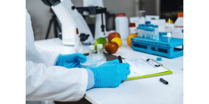 Cara daftar bpom makanan rumahan