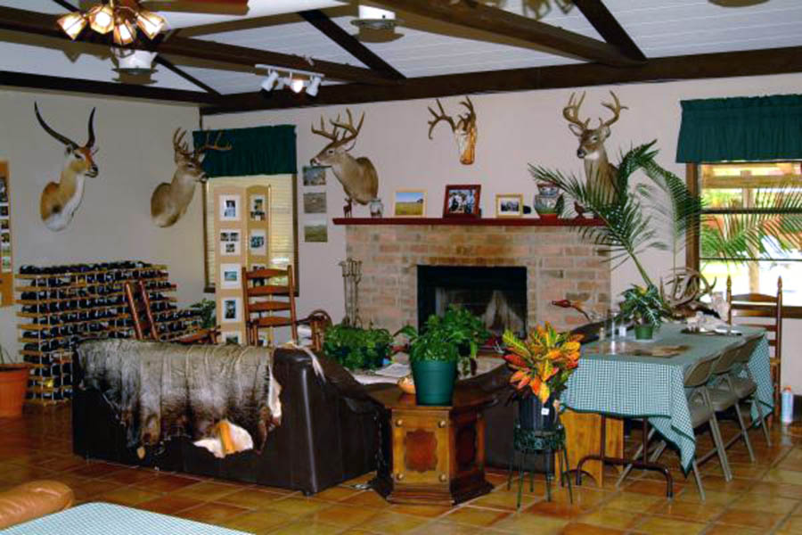 Horn Fin and Feather