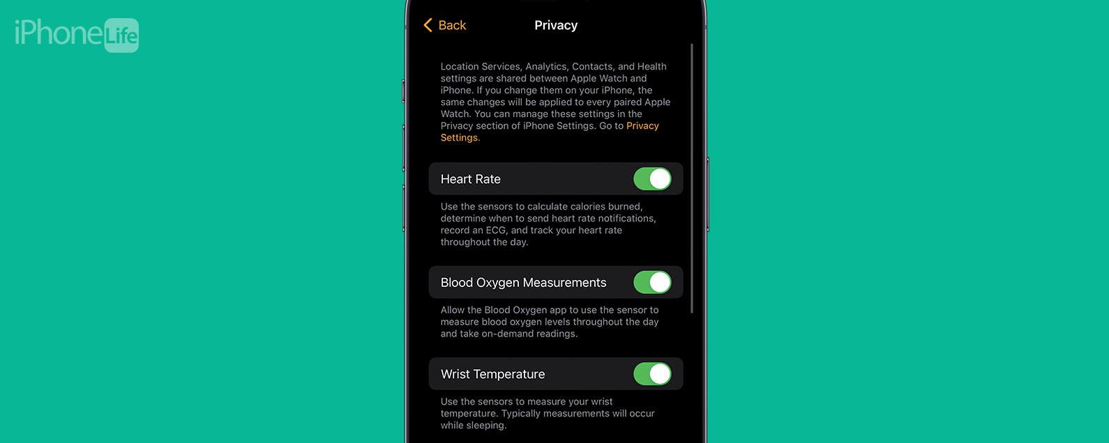 What Does the Apple Watch Green Light Mean? (watchOS 10)