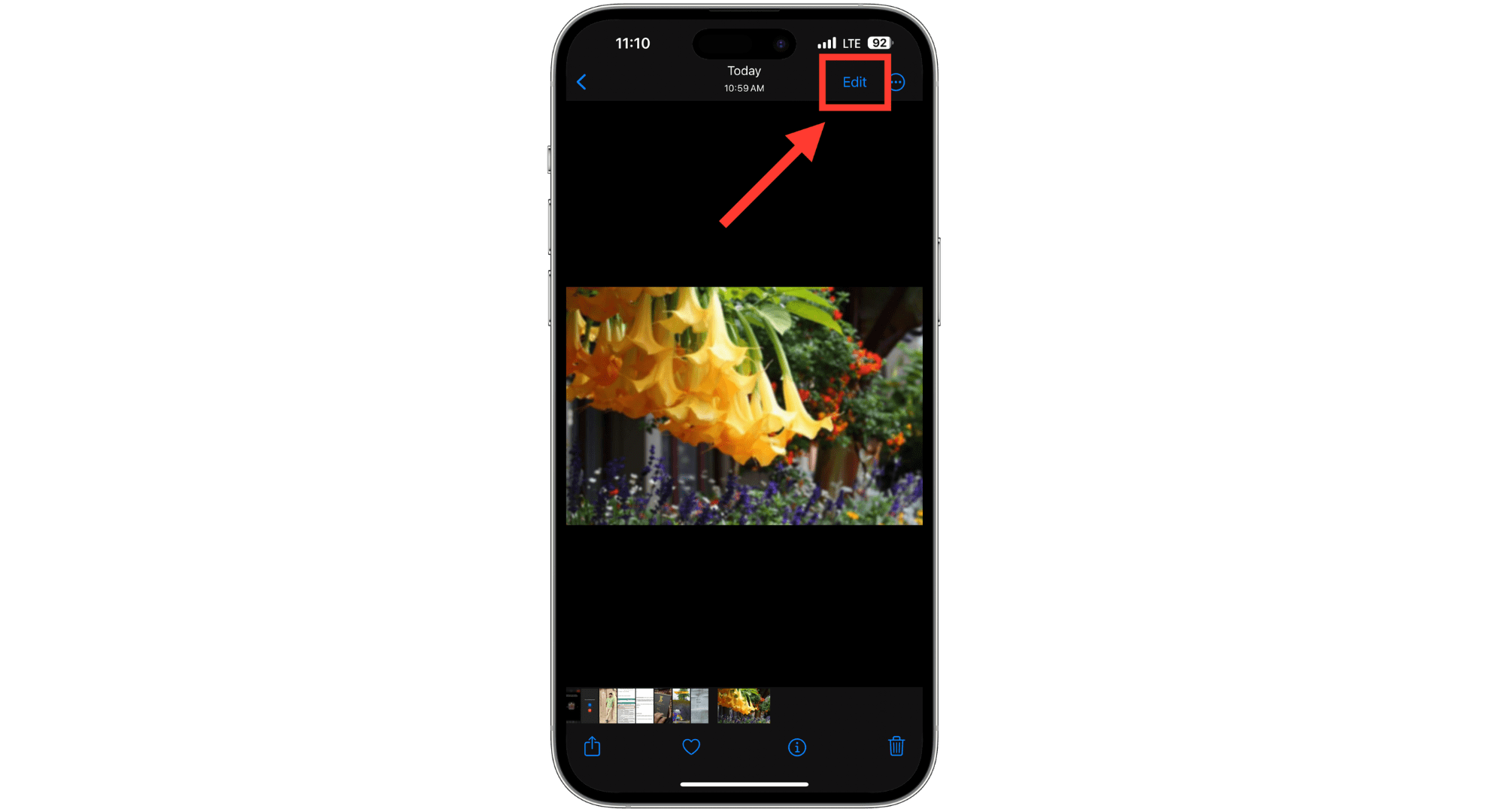 How to Fix Blurry Pictures on iPhone in 5 Different Ways digistart