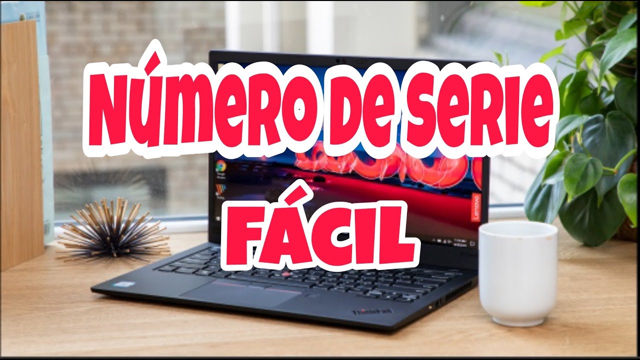 ¿Cómo identificar un número de serie?