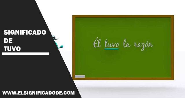 Significado de tuvo