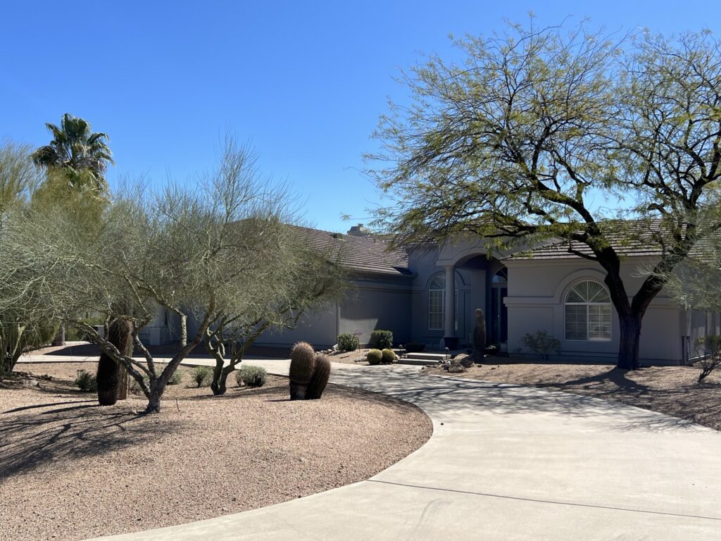 What Is A Tree Worth? ELS Maintenance & Construction