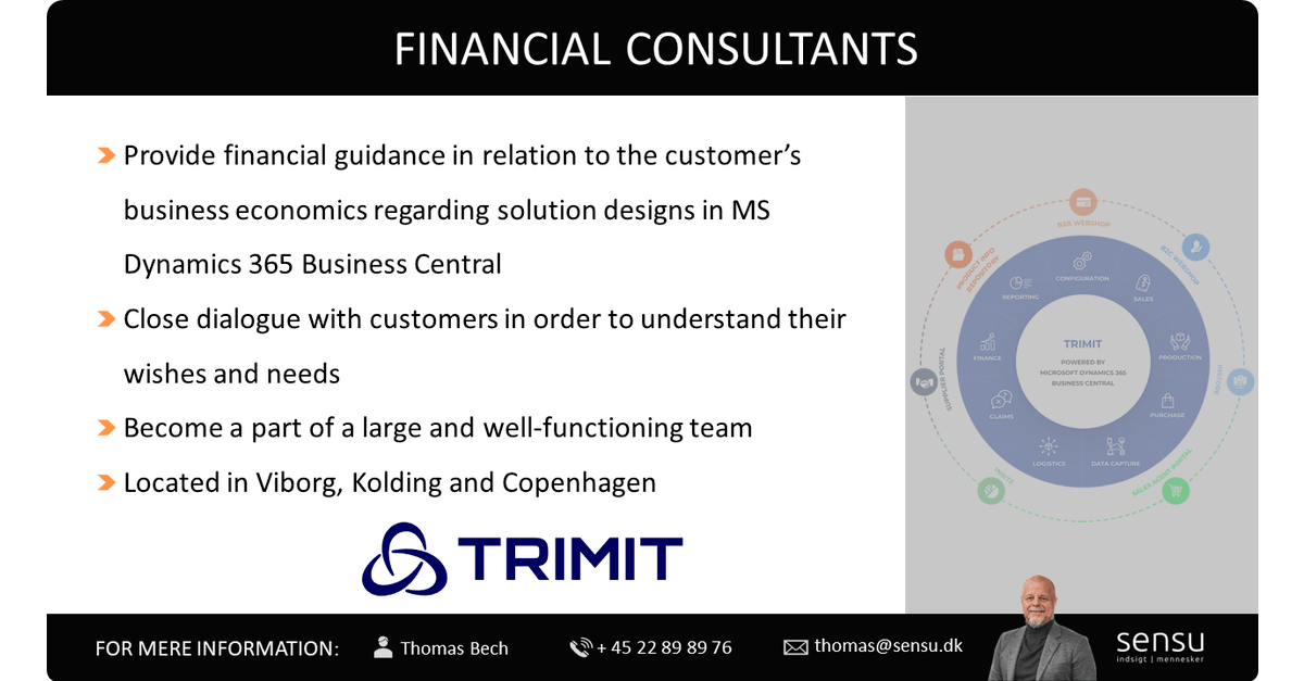 Financial Consultants at TRIMIT Group