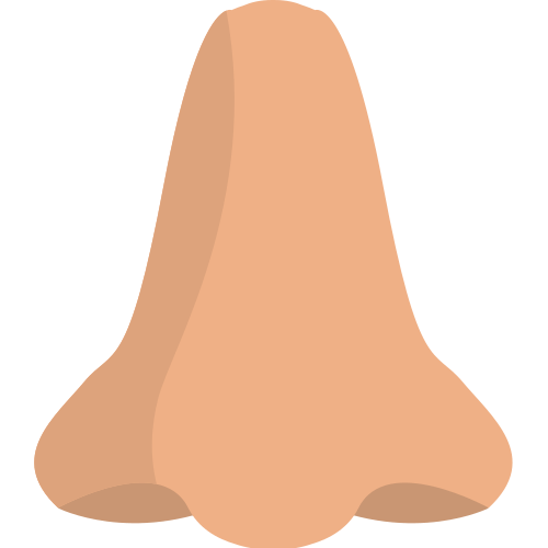 👃 Nose Emoji