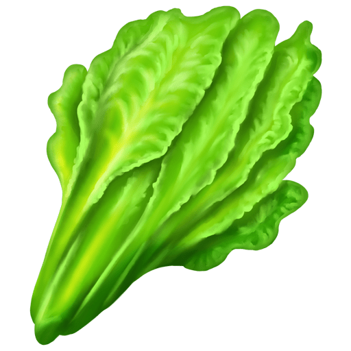 🥬 Leafy Green on Emojipedia Sample Images 11.0