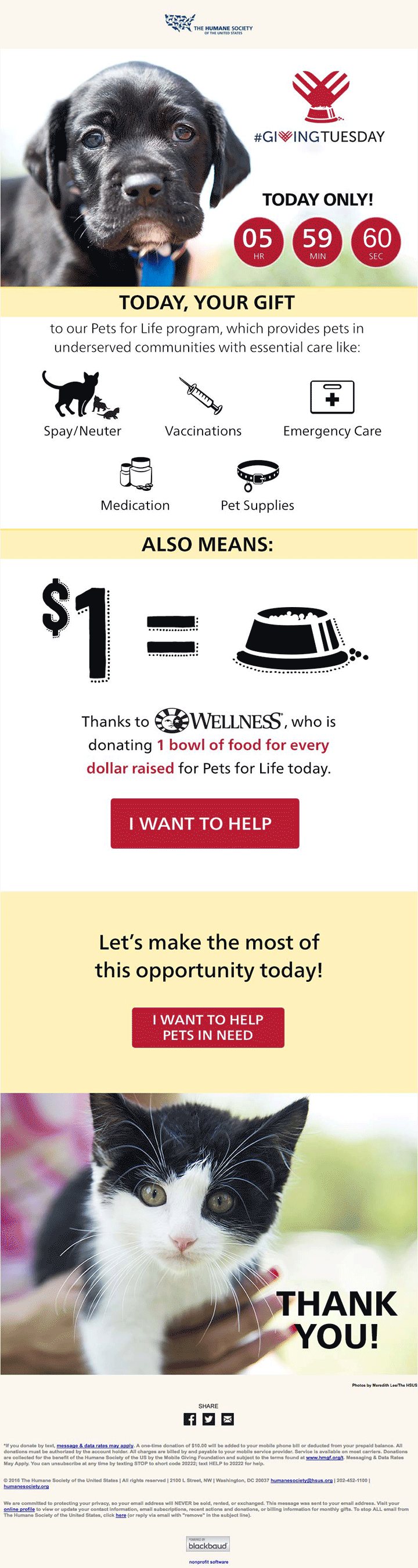 Countdown in Email The Perfect Tool to Set Counters Ringing!