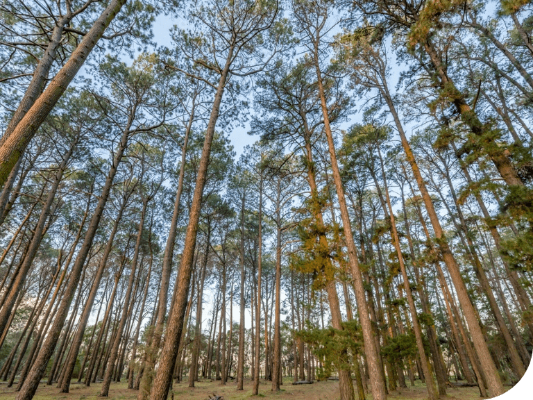 Busselton Embark Busselton Land Estate Land For Sale Busselton