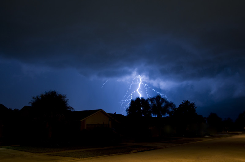 Does My Tree Need Lightning Protection? Embark Services