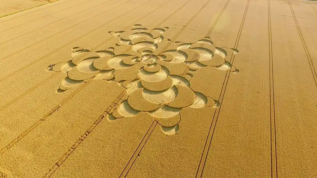 David Chorley et Douglas Bower et les Crop circle