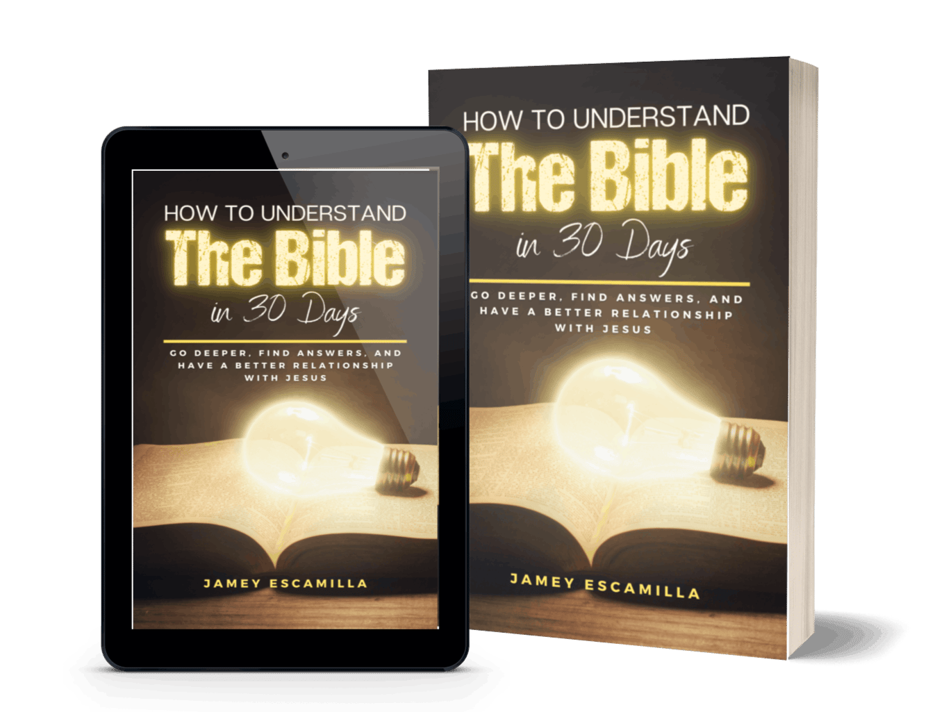 How to Understand the Bible in 30 Days (Digital) Sale