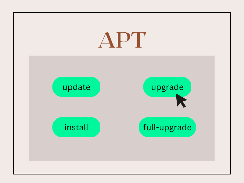 "apt upgrade vs fullupgrade" Differences Explained For Beginners!