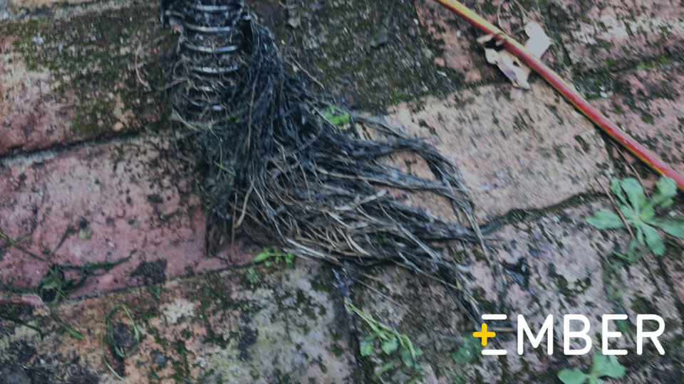 Blocked Drains Perth Ember Plumbing & Gas