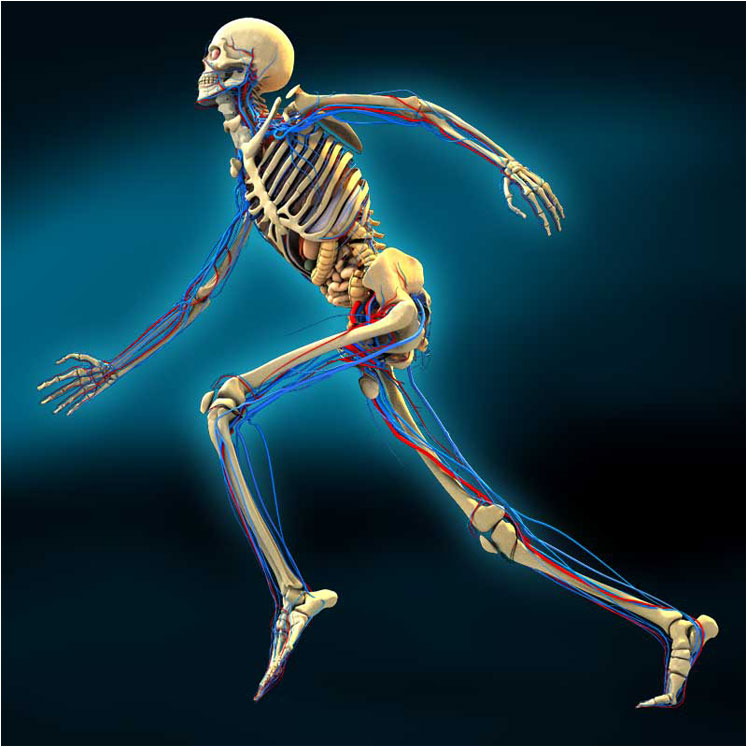 Embodied Practices What Is The kinaesthetic Sense?