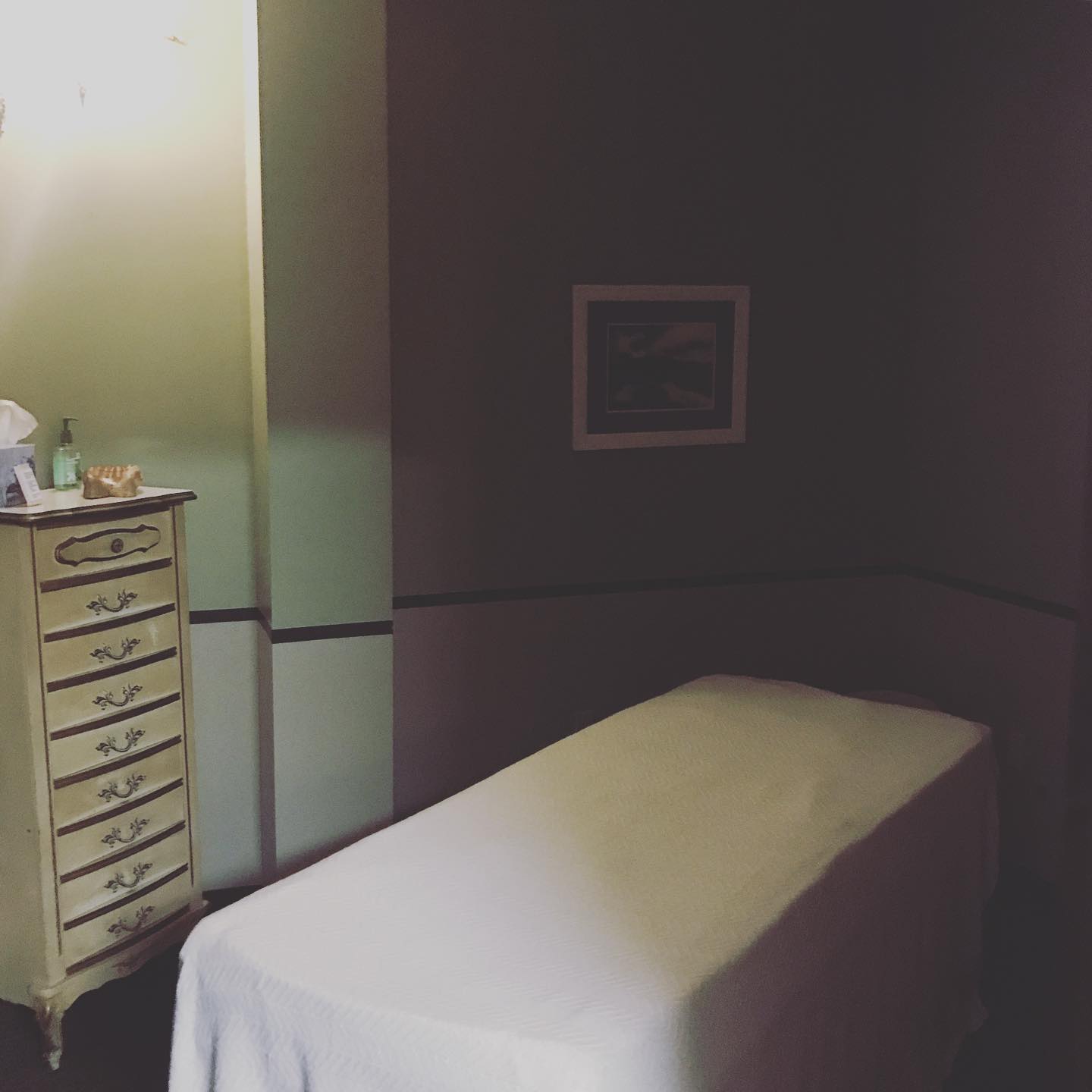 EMBODIED S P I R I T Integrated Bodywork Pittsburgh, PA