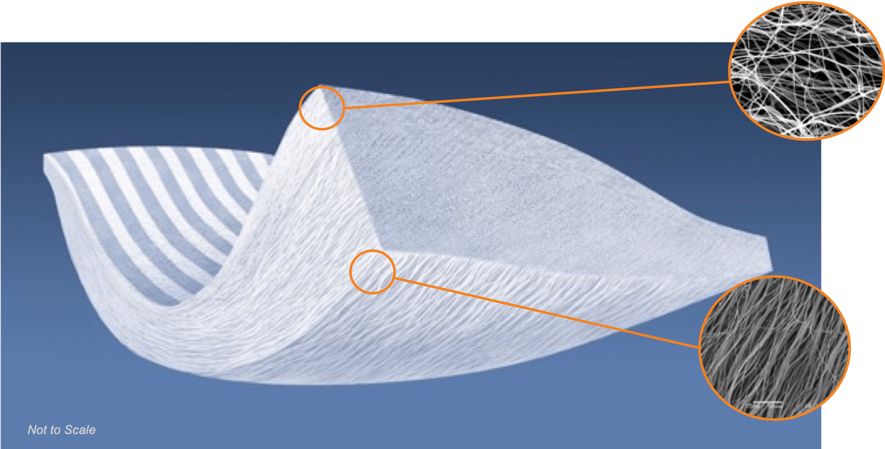 Tapestry Model v1 Embody