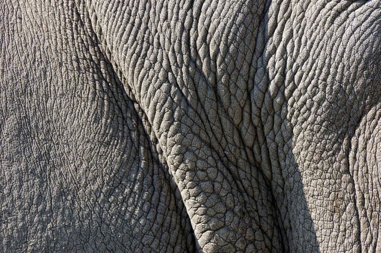 The Myth Of The Thick Skinned Leader Embold San Diego Executive