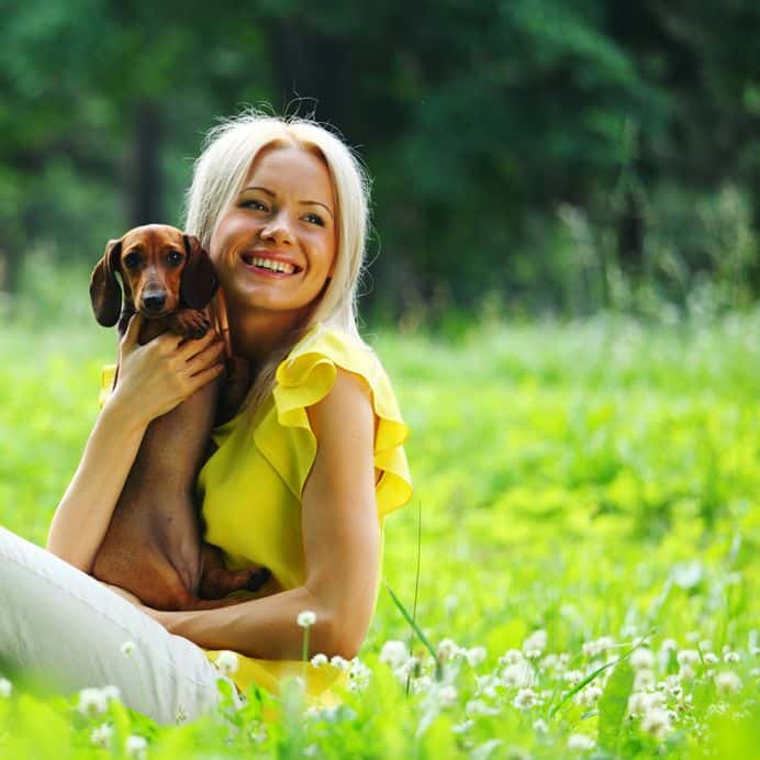 Are Dachshunds Good Service Dogs? Embora Pets