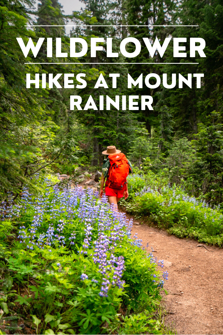 10 BEST WILDFLOWER Hikes at MT. RAINIER National Park