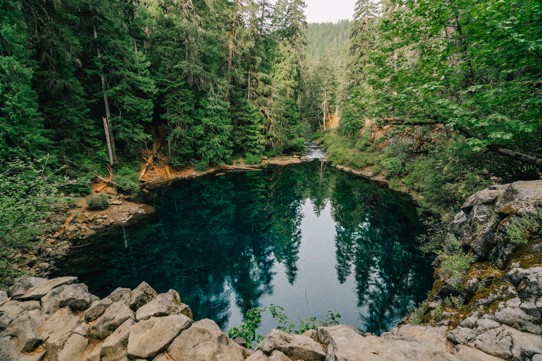 Local's Guide to the Famous BLUE POOL in Oregon (Tamolitch Blue Pool)