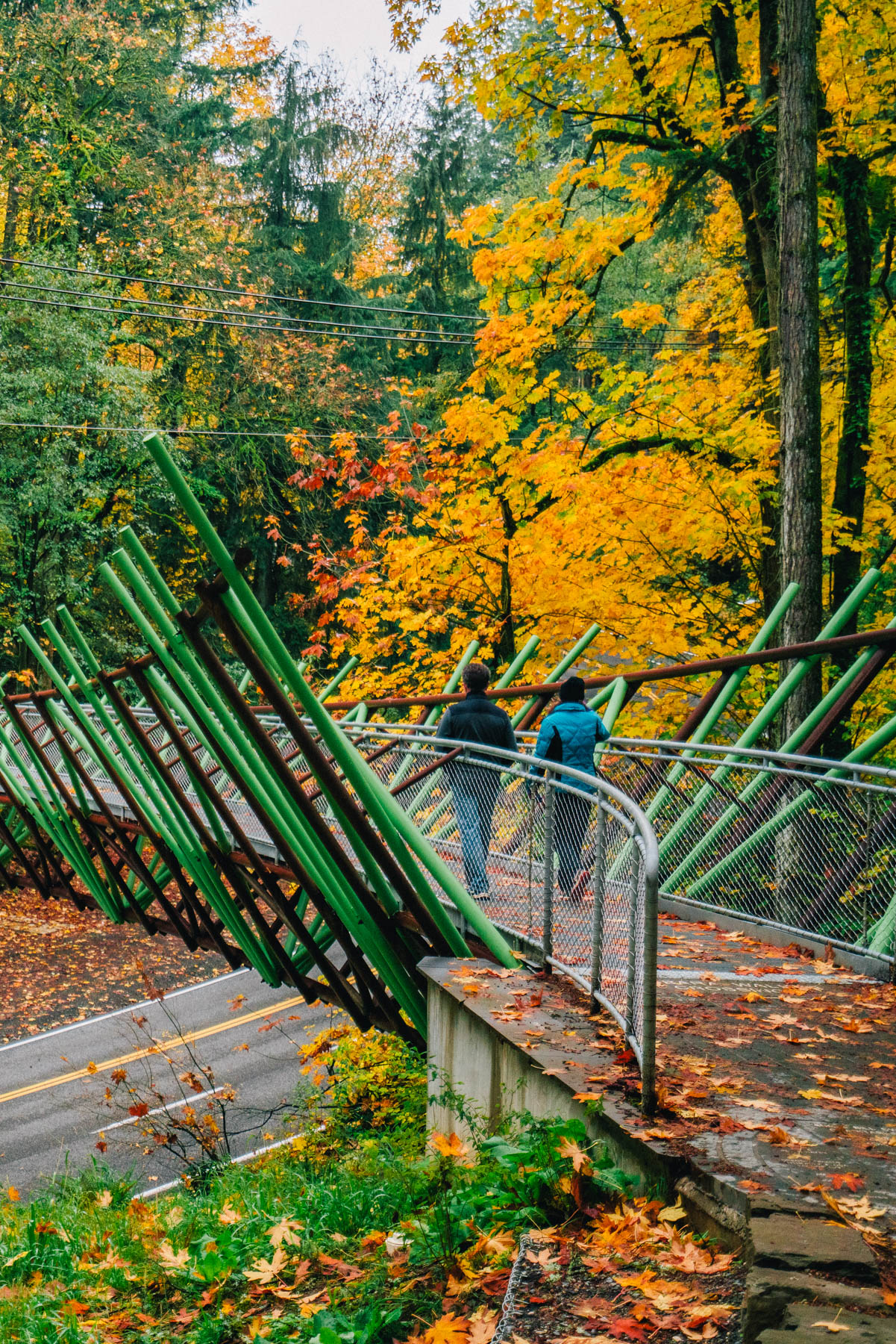 25+ EPIC Hikes Near Portland That Prove We Live in Paradise