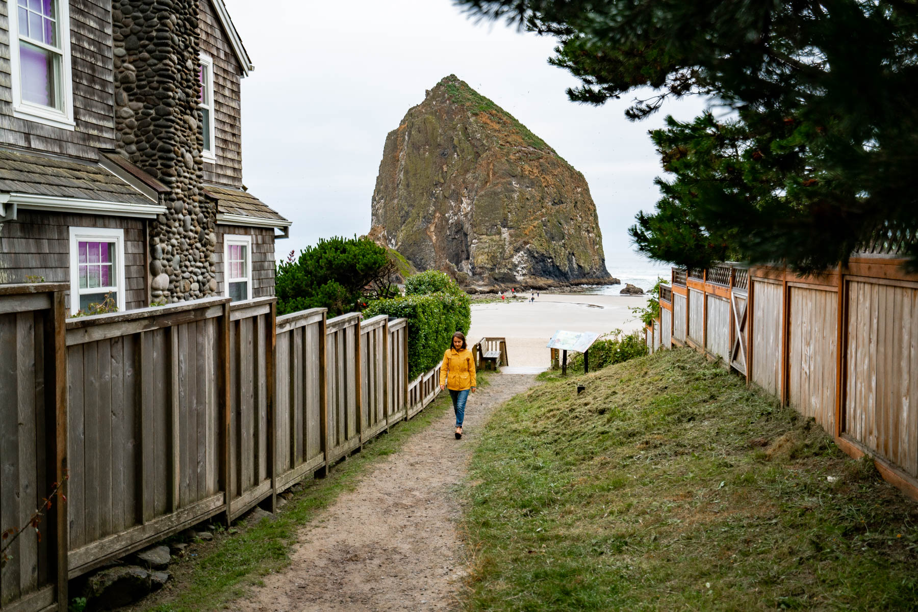 15 IRRESISTIBLE Oregon Coast Beaches to Explore This Summer