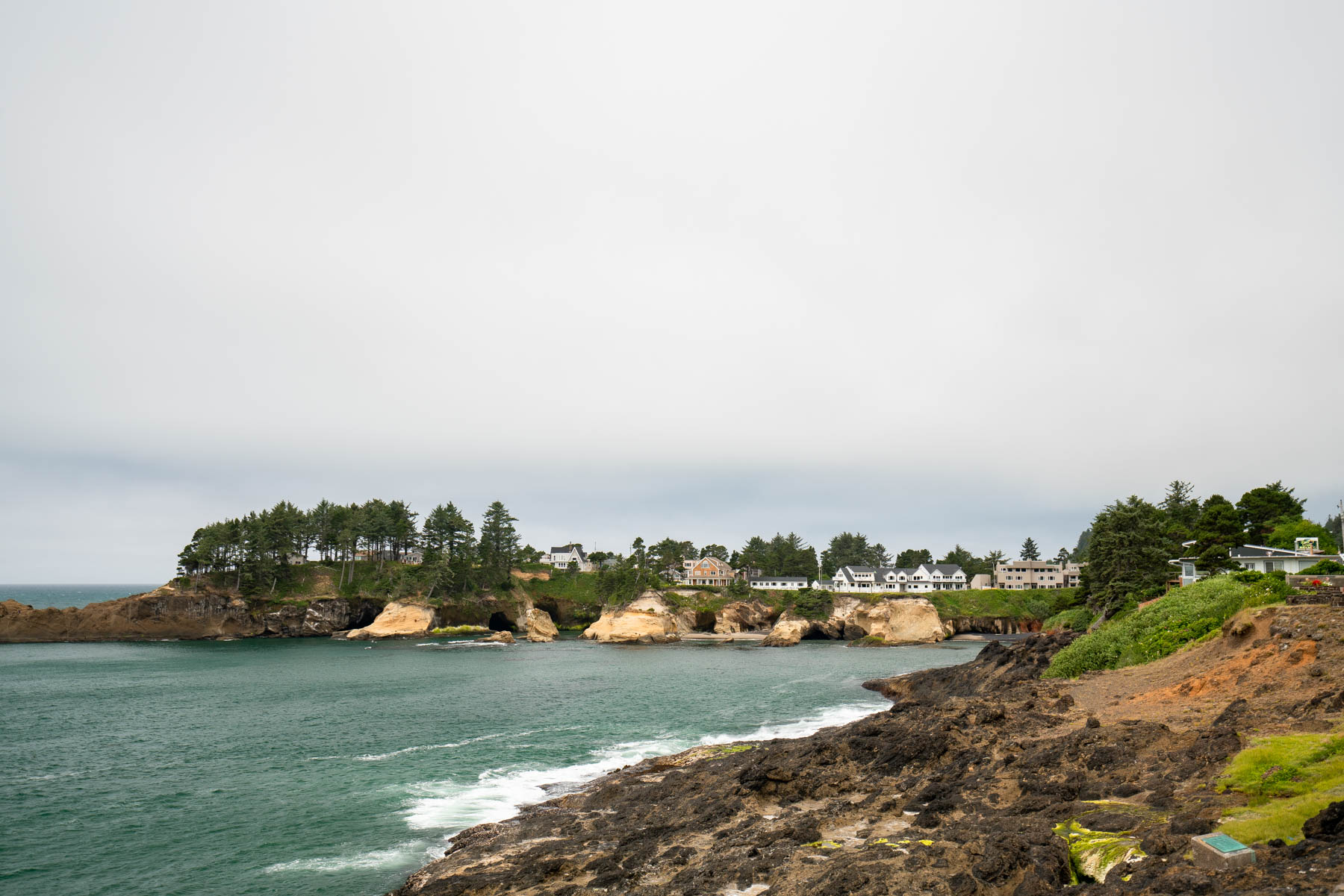 A (Very) Helpful Guide to WHALE WATCHING at the Oregon Coast
