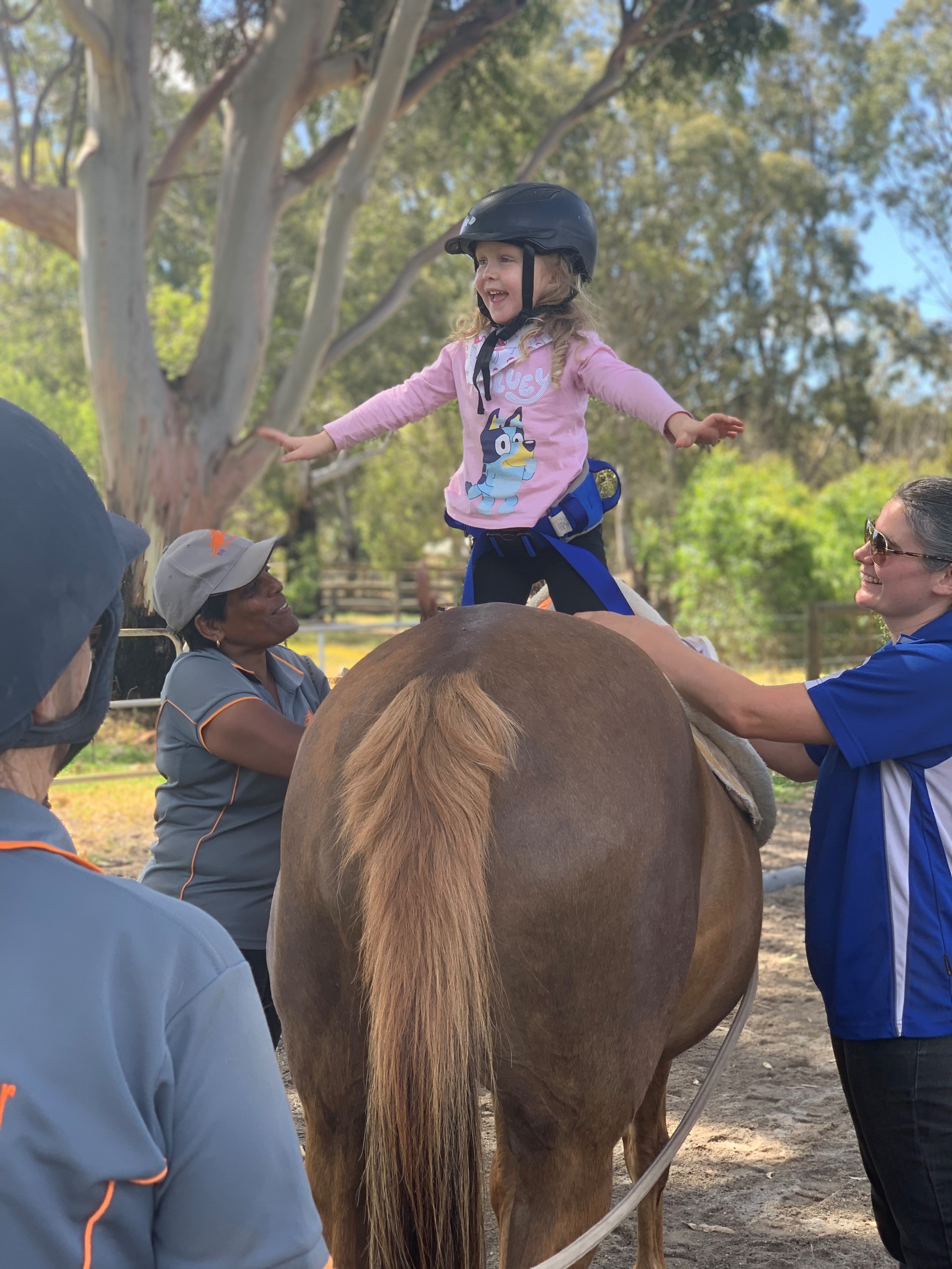 Hippotherapy Embrace Therapy