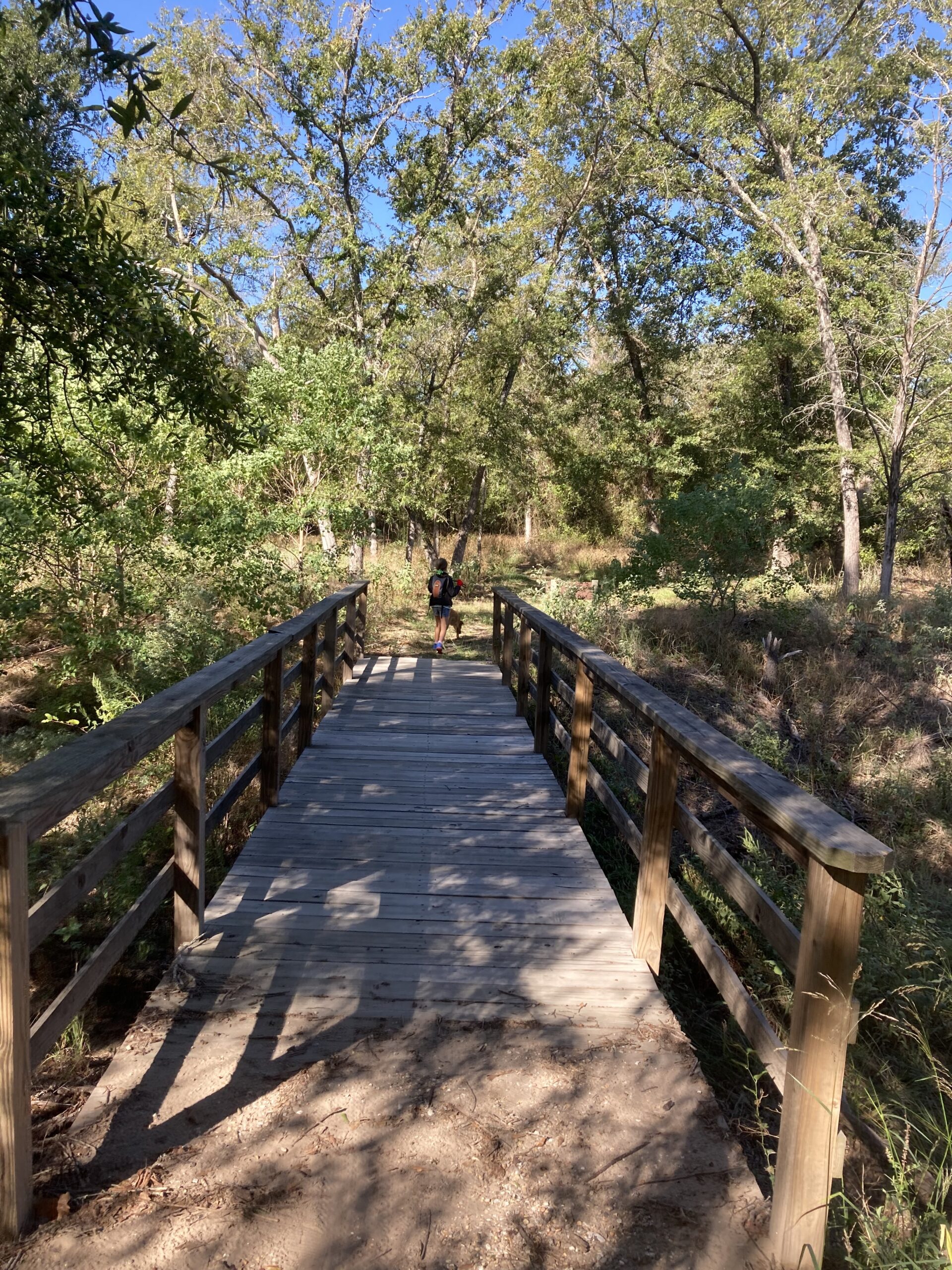 Hiking at Nails Creek State Park Embracing Your Joy
