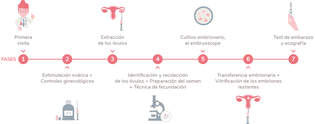 Fecundación In Vitro, reproducció assistida Embriogyn