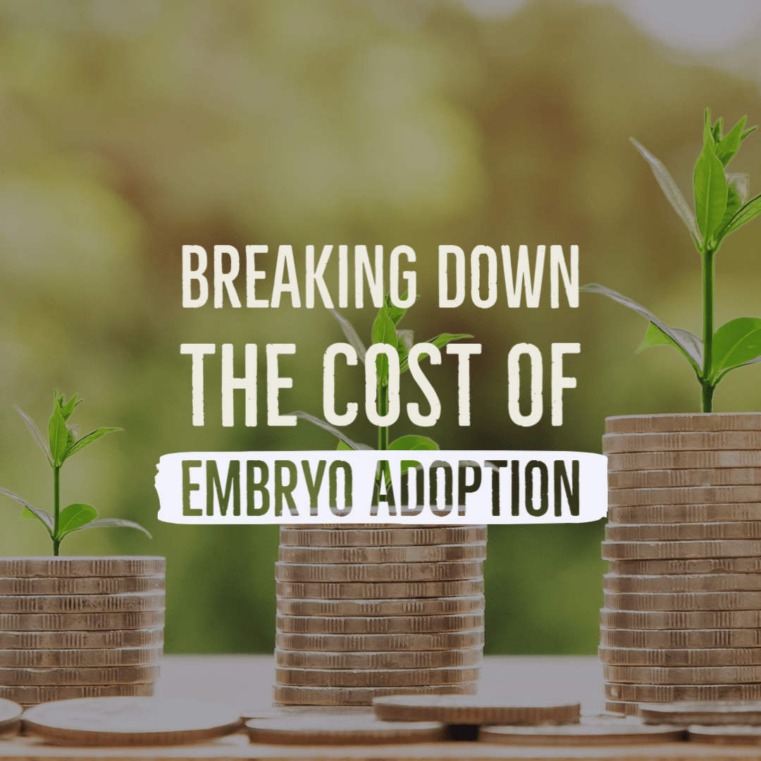 Breaking Down the Cost of Embryo Adoption and Donation Embryo