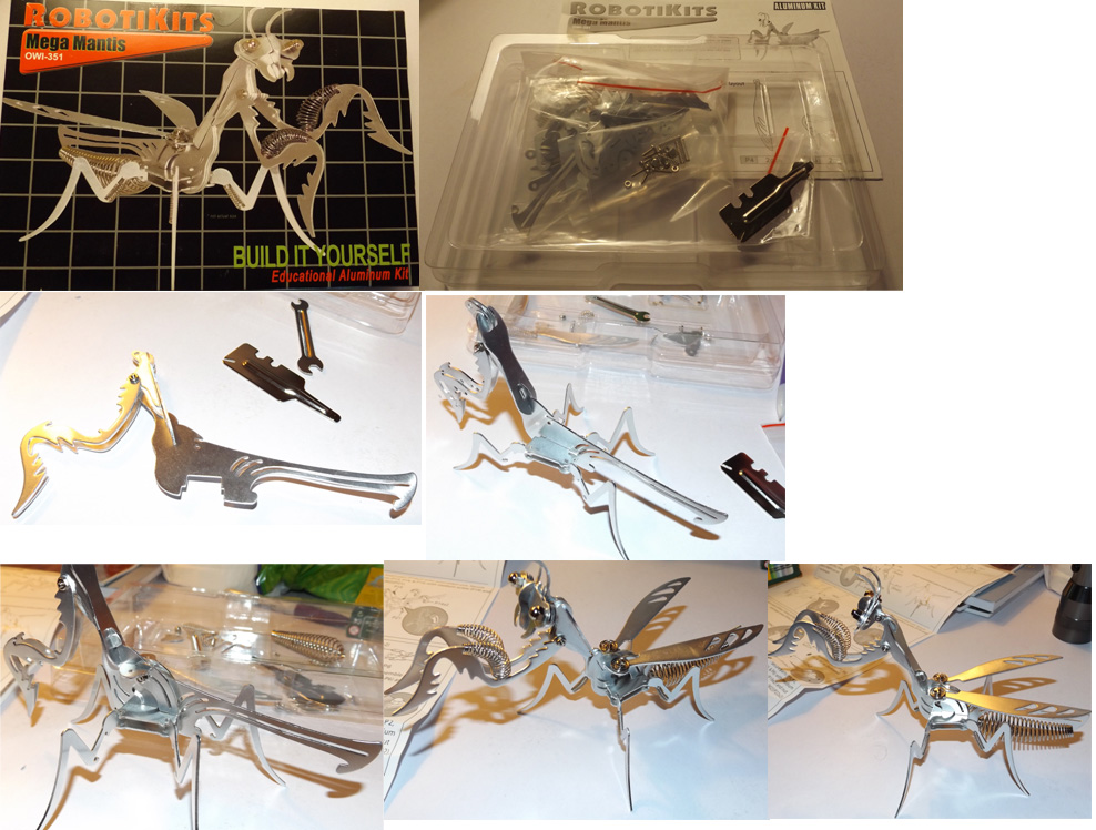 bug1 | Embs Computer Art