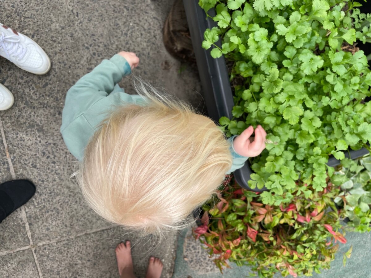 Sustainability East Melbourne Childcare Cooperative