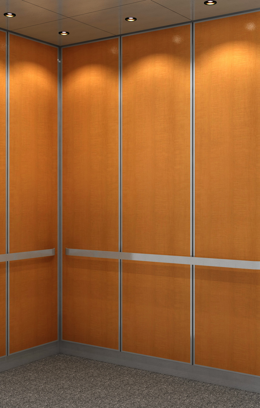 The Carlton Condos Elevator Modernization Co.