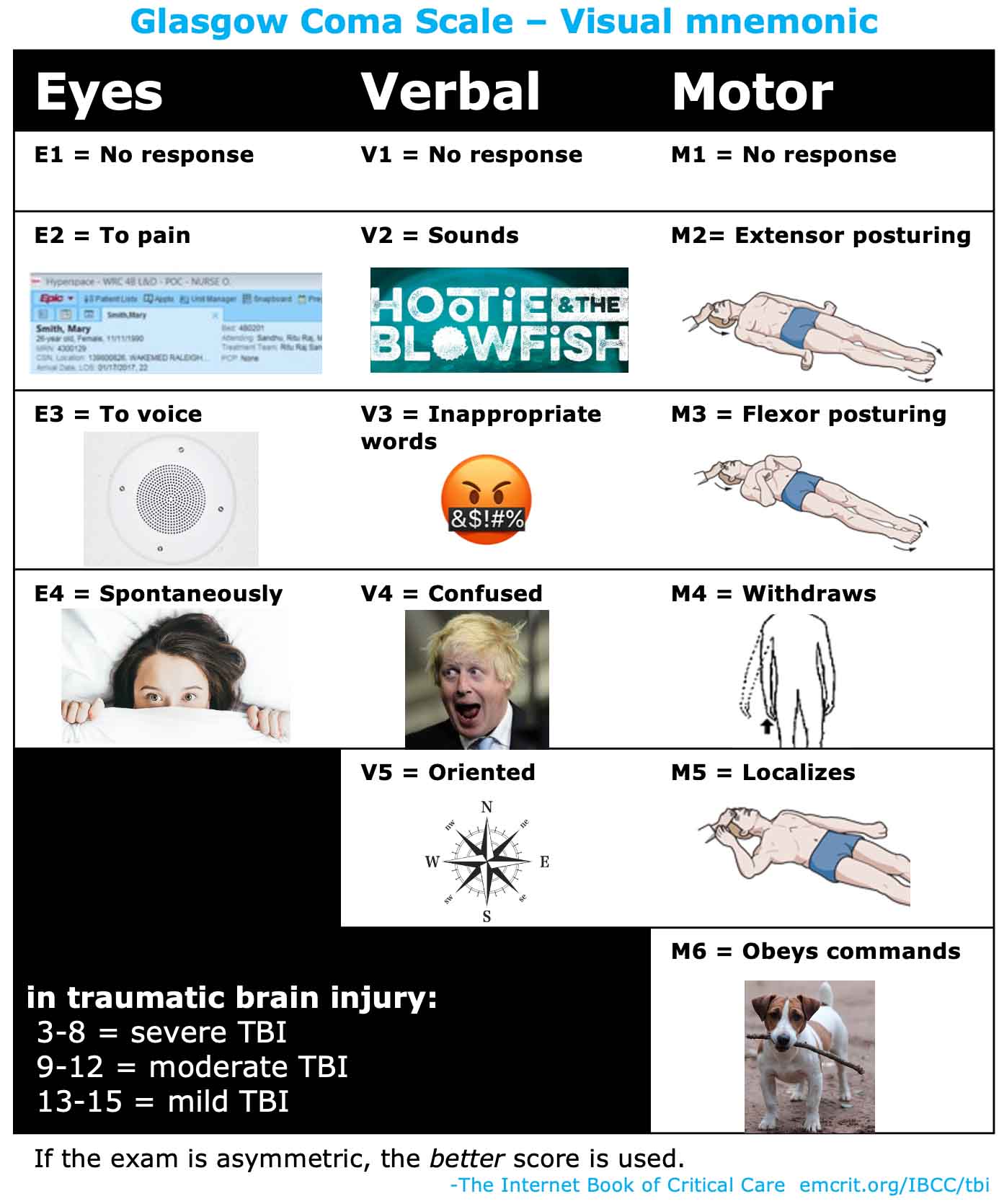 Roving Eye Movements