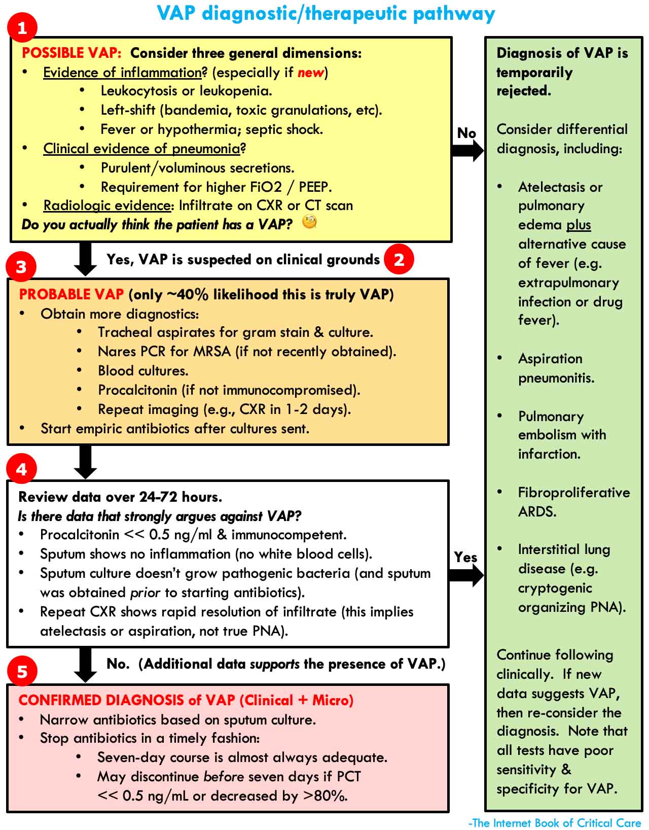Ventilator Associated Pneumonia Protocol