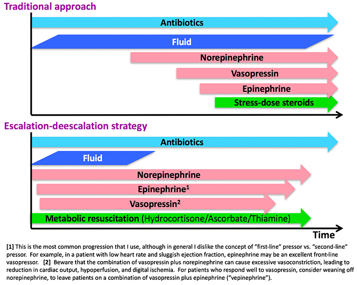 PulmCrit Metabolic sepsis resuscitation Strike hard, strike fast, no